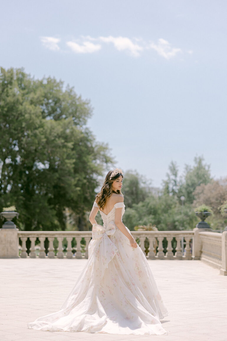 The Debut Collection By Josephine Scott
