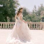 The Debut Collection By Josephine Scott