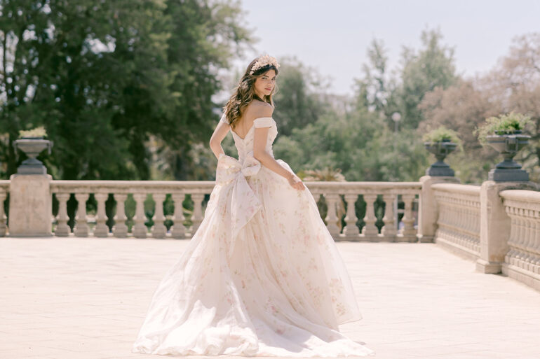 The Debut Collection By Josephine Scott