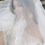 The Debut Collection By Josephine Scott