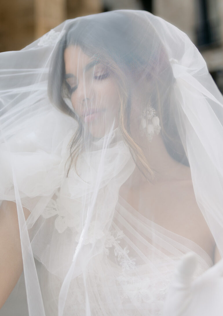 The Debut Collection By Josephine Scott