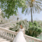 The Debut Collection By Josephine Scott