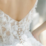 The Debut Collection By Josephine Scott