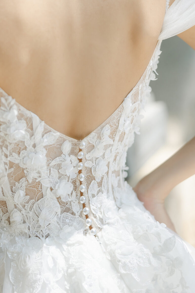 The Debut Collection By Josephine Scott