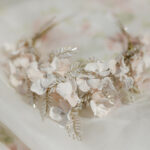 The Debut Collection By Josephine Scott