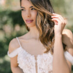 The Debut Collection By Josephine Scott
