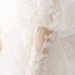 The Debut Collection By Josephine Scott