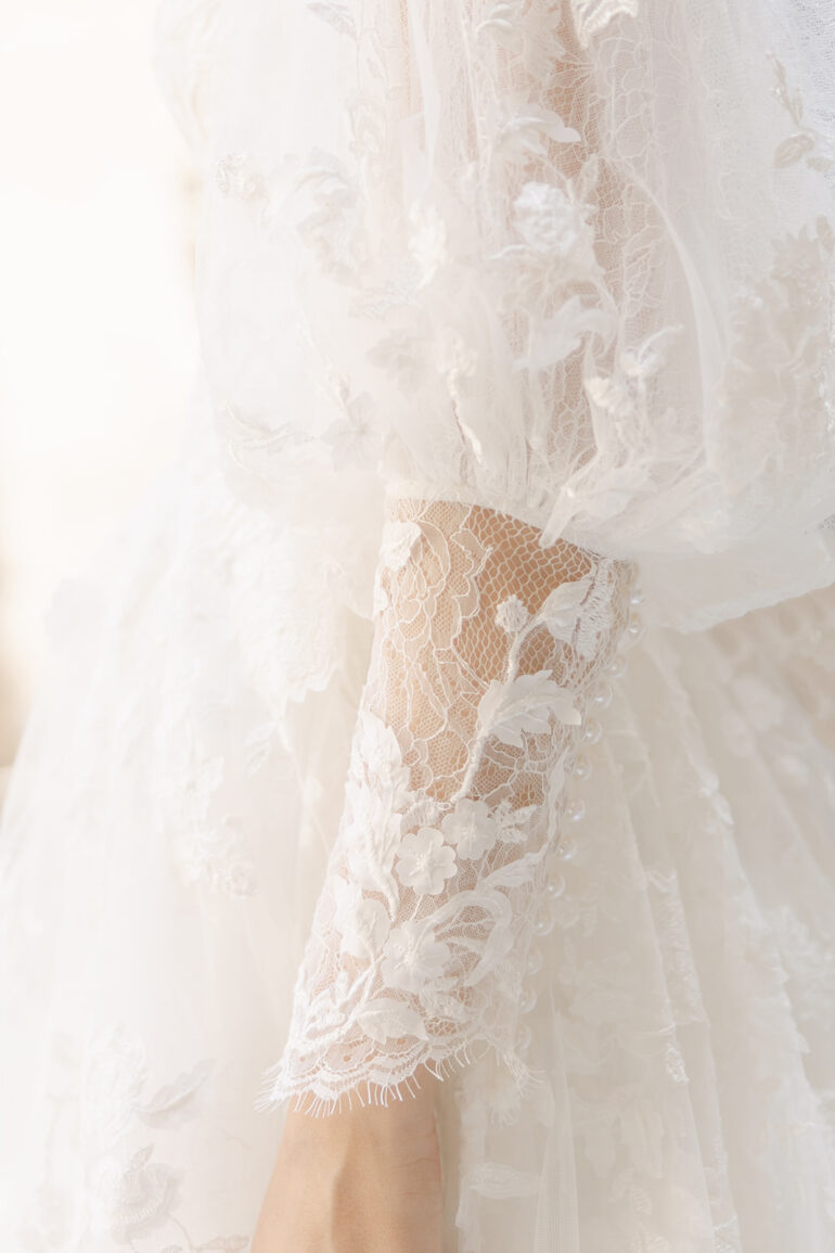 The Debut Collection By Josephine Scott