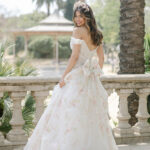 The Debut Collection By Josephine Scott