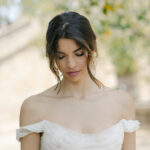 The Debut Collection By Josephine Scott