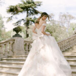 The Debut Collection By Josephine Scott