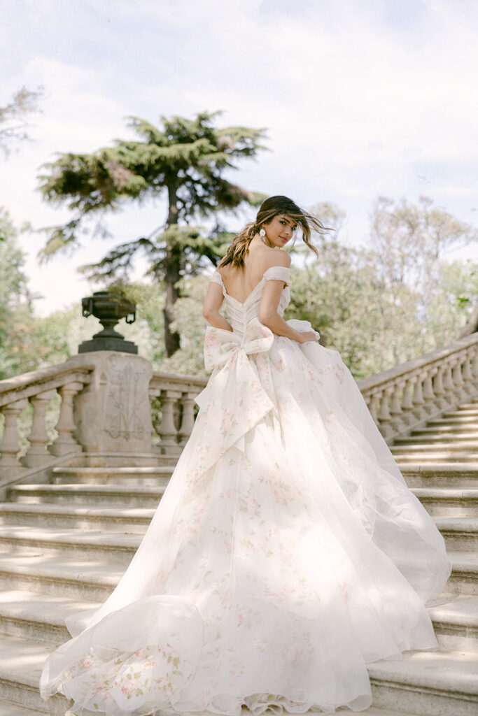 The Debut Collection By Josephine Scott