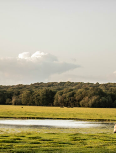 Weddings at Balmer Lawn Hotel