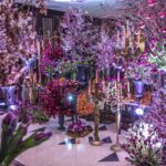 Insider Interview: Majeda Kassir Bisharat, MY Event Design