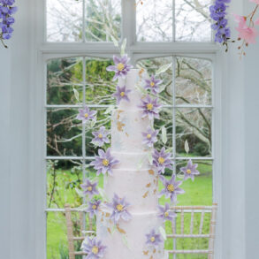 Once upon a dream… A Somerset Fairytale Wedding