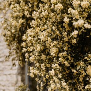 Enchanting Celebrations: Caswell House - Your Quintessential Cotswolds Wedding Venue