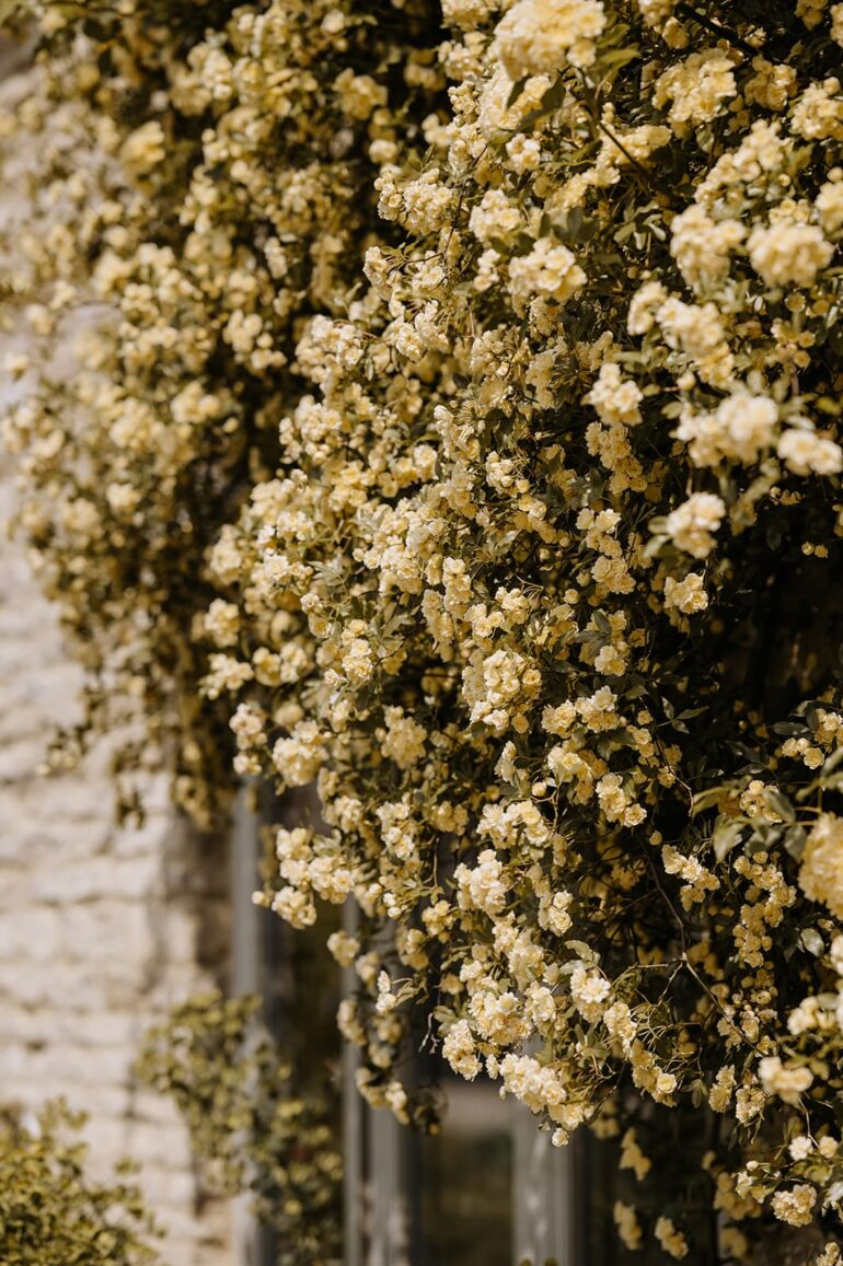 Enchanting Celebrations: Caswell House - Your Quintessential Cotswolds Wedding Venue