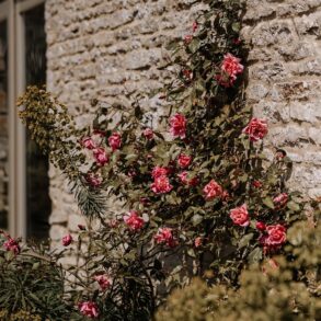 Enchanting Celebrations: Caswell House - Your Quintessential Cotswolds Wedding Venue
