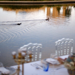 Two birds swimming in a pond by a table.