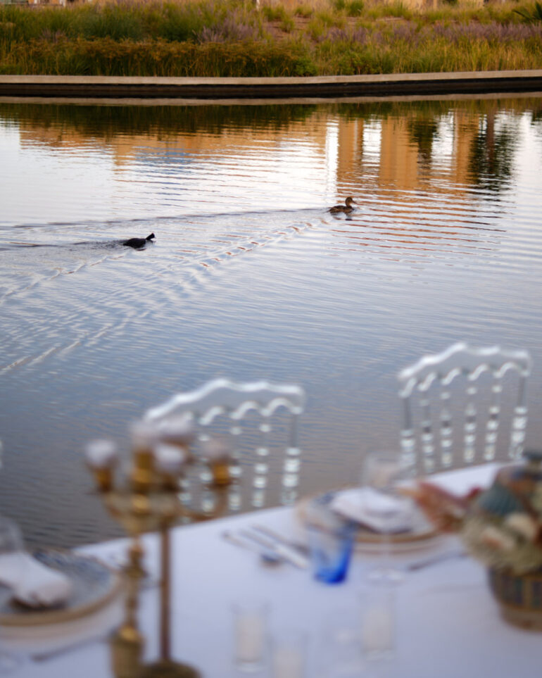 Two birds swimming in a pond by a table.