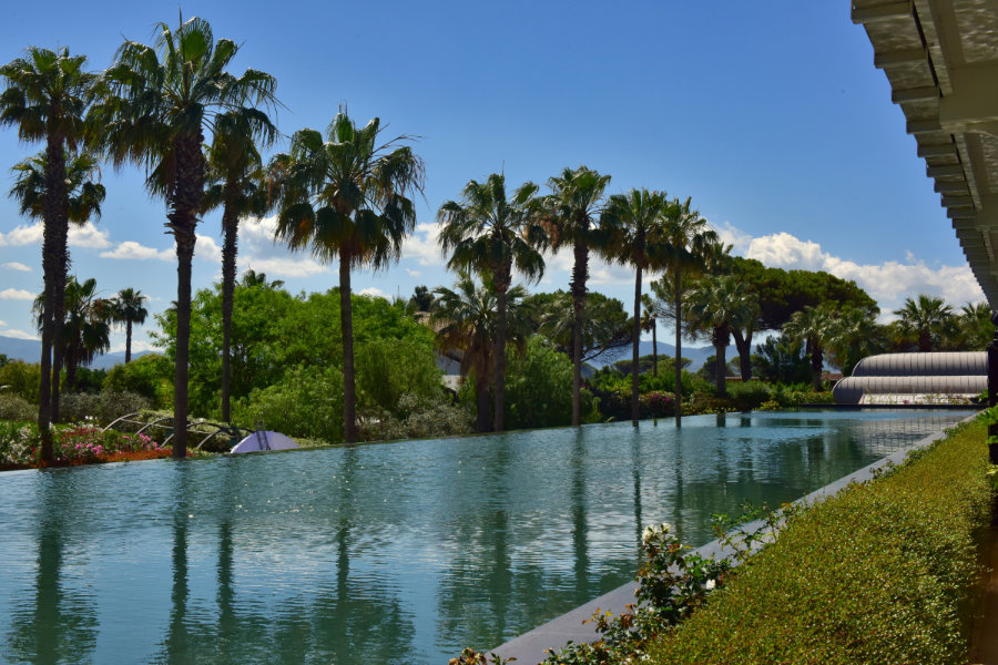 Rita and Annachiara - A Celebration of Love and Bravery