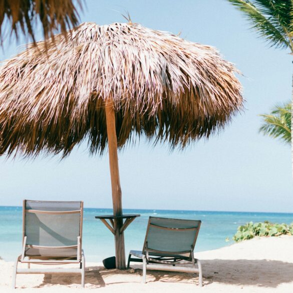 Tropical beach with palm trees and a sunshade.