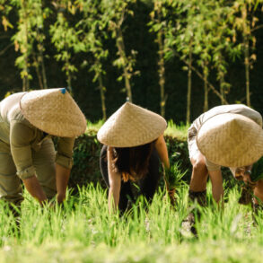 Embrace the Spirit of Bali