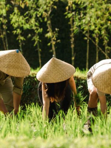 Embrace the Spirit of Bali
