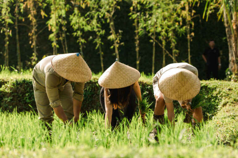 Embrace the Spirit of Bali