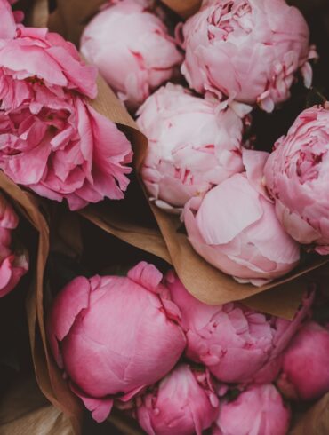 pink roses in box