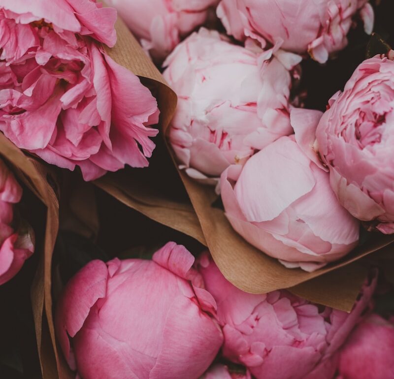 pink roses in box