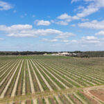 DJI 20250319103104 0037 D
