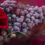 wedding reportage photography senza titoloVanessa Serra Photographer 40
