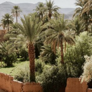 Weddings and Honeymoons at Osun Kasbah