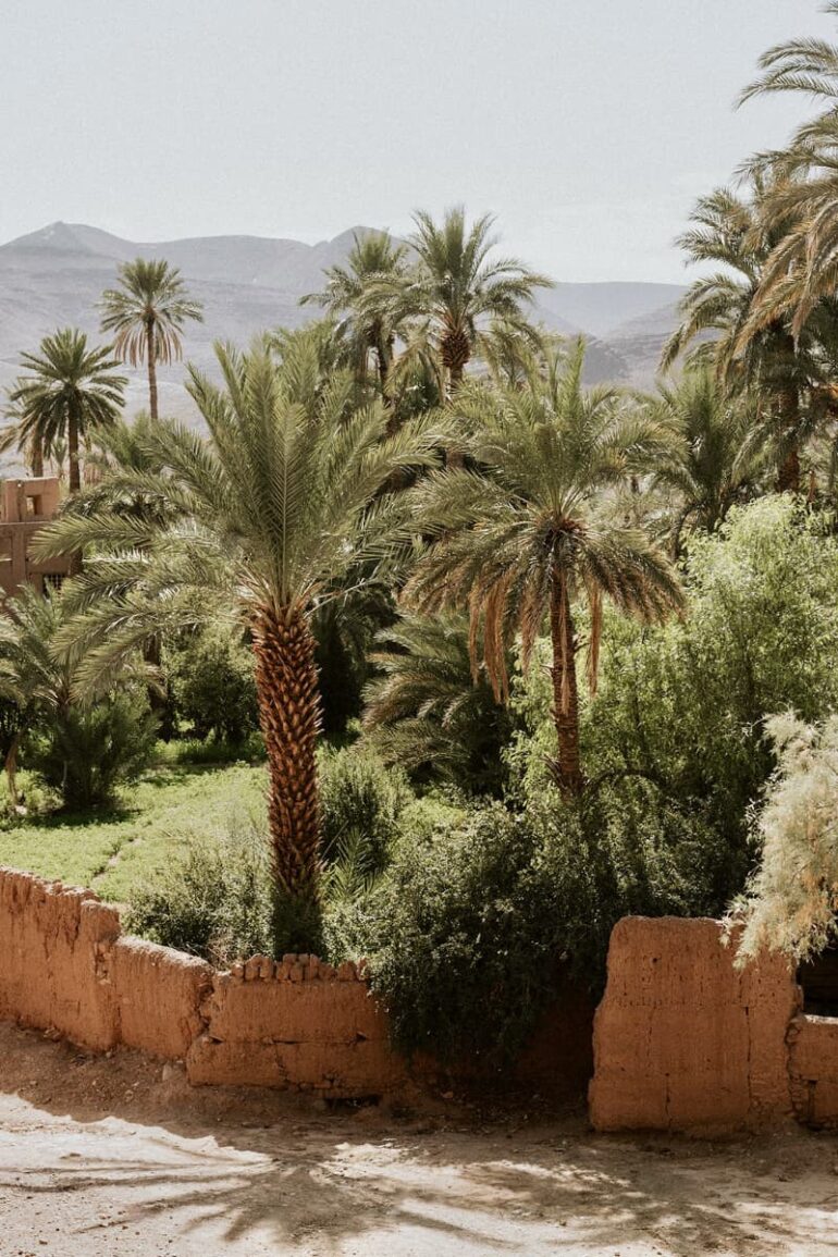 Weddings and Honeymoons at Osun Kasbah