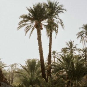 Weddings and Honeymoons at Osun Kasbah