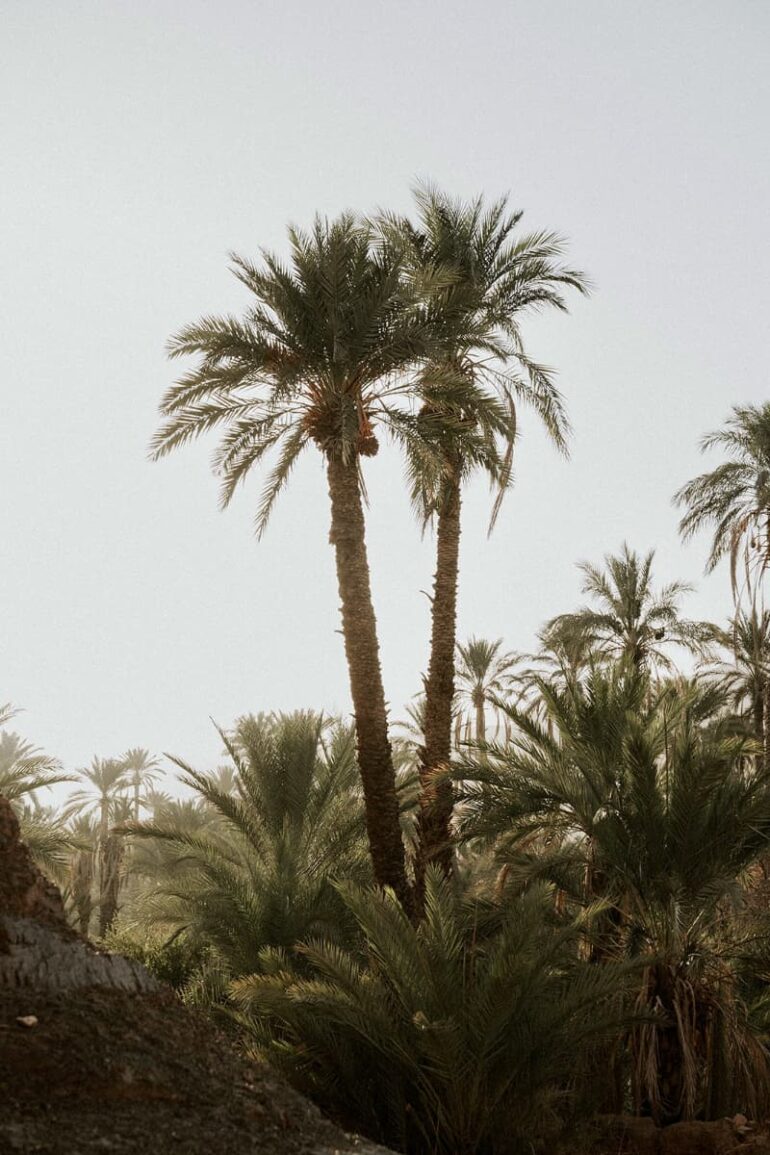 Weddings and Honeymoons at Osun Kasbah