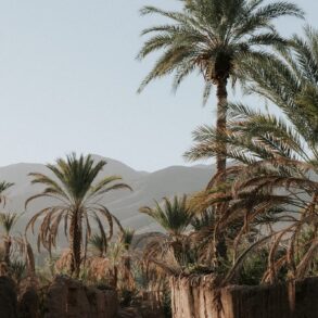 Weddings and Honeymoons at Osun Kasbah