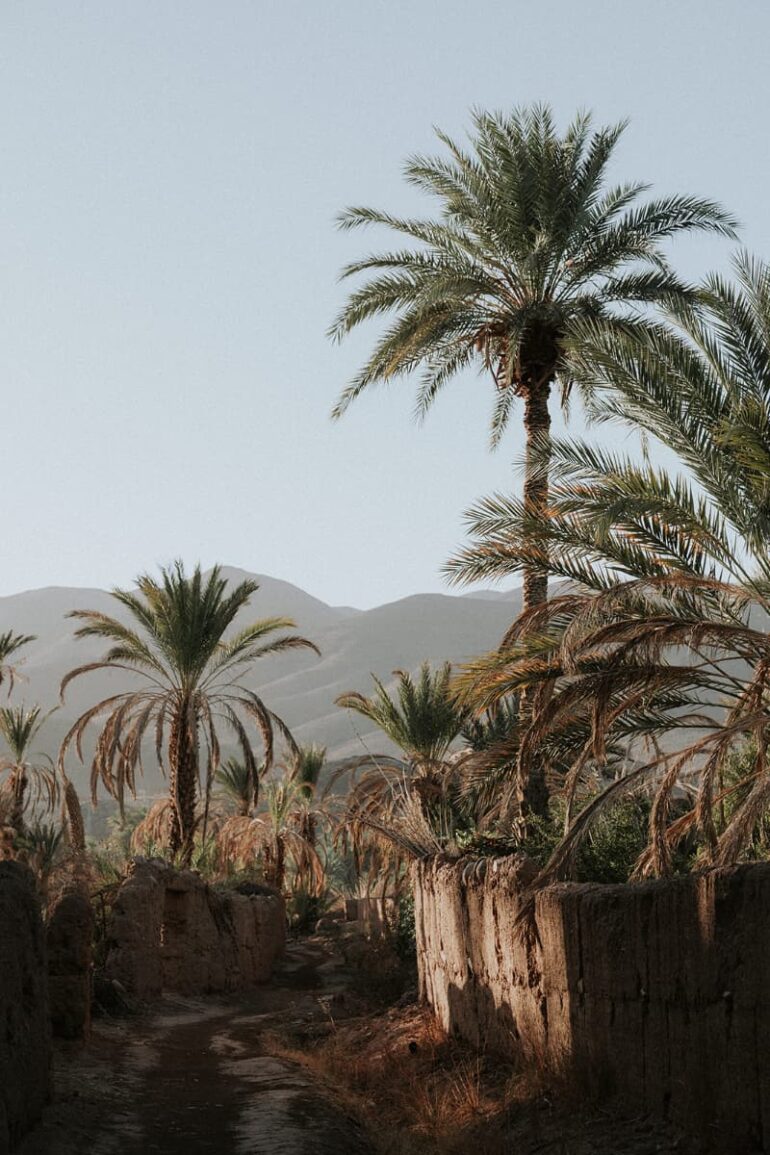 Weddings and Honeymoons at Osun Kasbah