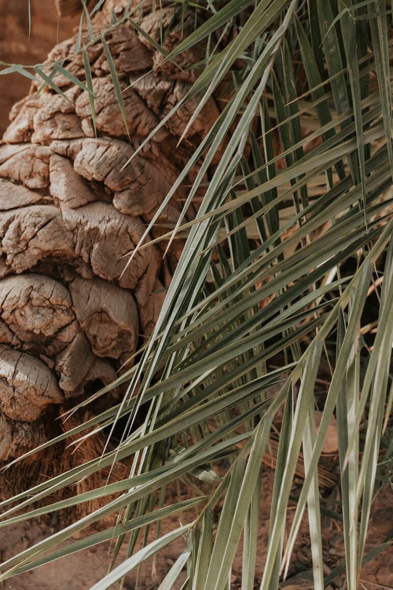Weddings and Honeymoons at Osun Kasbah