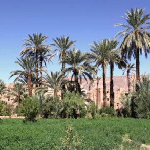 Weddings and Honeymoons at Osun Kasbah