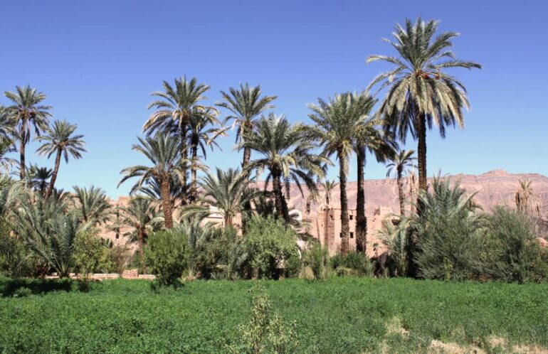 Weddings and Honeymoons at Osun Kasbah
