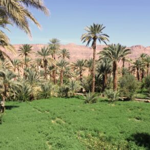 Weddings and Honeymoons at Osun Kasbah