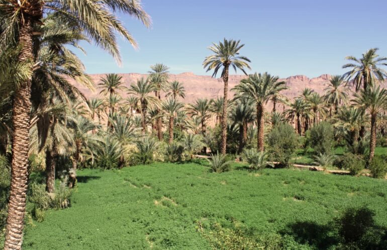 Weddings and Honeymoons at Osun Kasbah