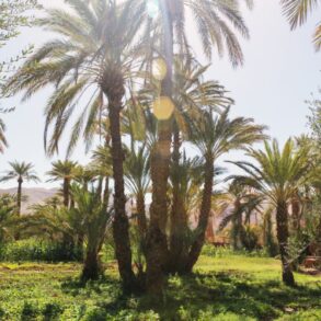 Weddings and Honeymoons at Osun Kasbah