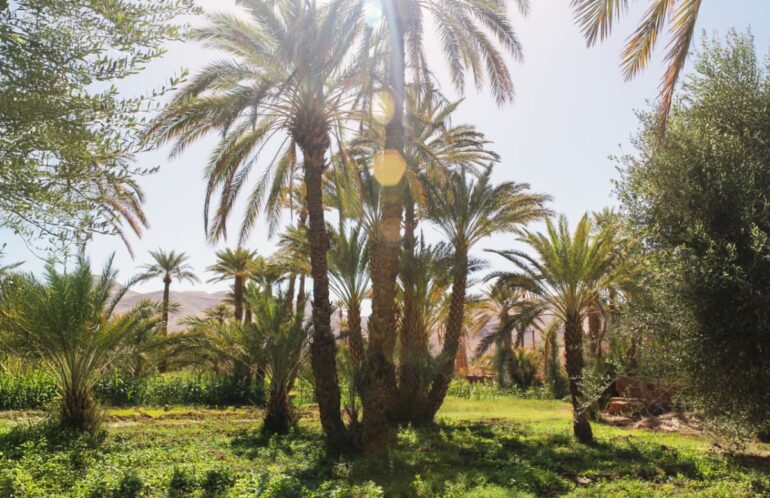 Weddings and Honeymoons at Osun Kasbah
