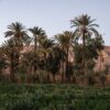 Weddings and Honeymoons at Osun Kasbah