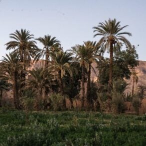 Weddings and Honeymoons at Osun Kasbah