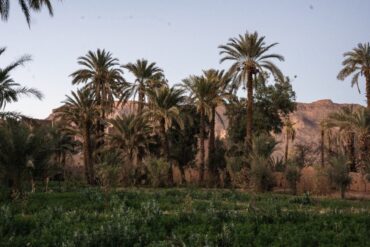 Weddings and Honeymoons at Osun Kasbah
