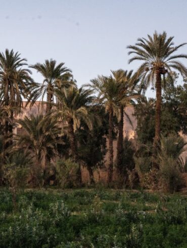 Weddings and Honeymoons at Osun Kasbah